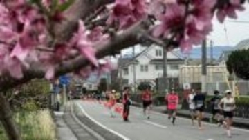 「お花見も楽しめた」 ランナーを甲府盆地の春が出迎える 笛吹市桃の里マラソン 約3,200人が参加 山梨