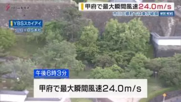甲府で最大瞬間風速24．0mの風