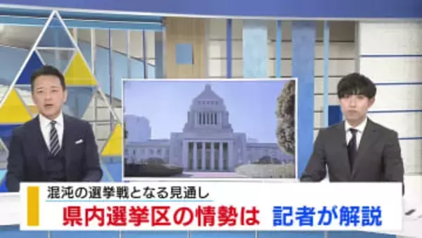 【記者解説・衆院選 】県内選挙区の情勢は 山梨1区は“混沌”の選挙戦となる見通し 山梨