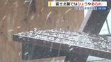 「「すごい勢いで氷の粒が」富士山麓で降ひょう 夜遅くまで大気の状態が不安定に 山梨」の画像1