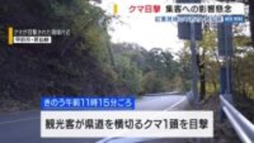 紅葉の昇仙峡でクマ目撃 集客への影響を懸念 「クマがいることはわかった」 状況に応じた対策を検討 山梨