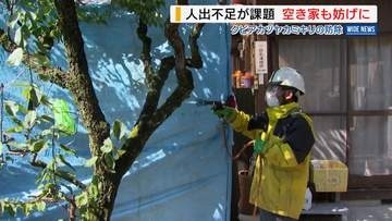 「外来カミキリ」民有地で防除進むも人手不足が課題 空き家もさまたげに 山梨・笛吹市