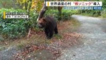 世界遺産・白川郷が山梨県内の企業が作ったクマ除け装置導入