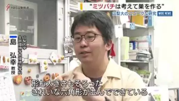 山梨大が研究「ミツバチは考えて巣をつくる」