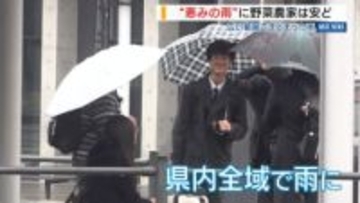 「恵みの雨だよね」 野菜農家は安ど 県内全域で久しぶりのまとまった雨 山梨