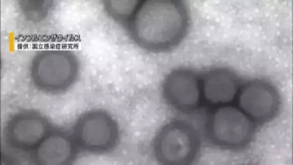 インフルは“ピークアウト” 患者数は2週連続減少 県内は前週より3割減 山梨