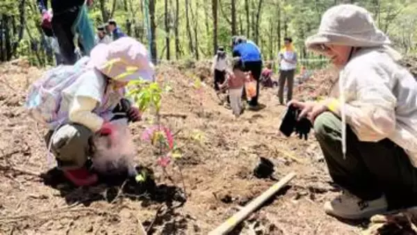 「成長しているのを見ると感慨深い」 苗木666本を植樹 豊かな自然を未来へつなぐ 元Jリーガーも参加 山梨