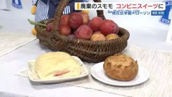 はねだし県産スモモを活用！ローソンが新スイーツ販売 支援学校の生徒と共同開発 山梨