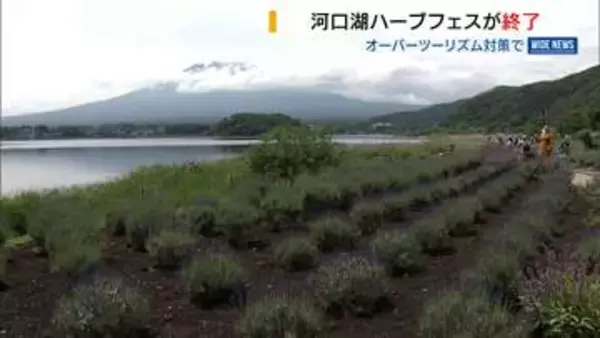 河口湖の人気イベント「ハーブフェス」が終了 多すぎる観光客で住民生活に影響 山梨