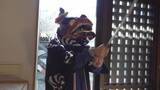 「獅子舞が刀持ち…伝統の小正月行事「あくまっぱらい」で無病息災を願う 山梨・身延町」の画像1