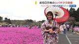 「富士山の麓にピンク色のじゅうたん シバザクラ50万株が満開！着物姿で散策も 山梨」の画像1