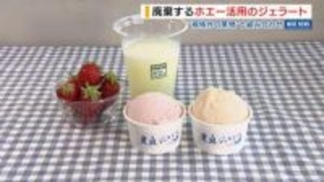 チーズづくりで廃棄される“ホエー”活用！新ジェラートを開発「酪農家の支えに」山梨