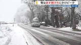 「雪は4日明け方にかけピークに 東部・富士五湖や山地で積雪15センチ予想 県立高校入試への影響が懸念 山梨」の画像1