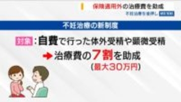 不妊治療で新制度 保険適用外の治療費7割助成 回数や年齢の制限超えなど対象 山梨