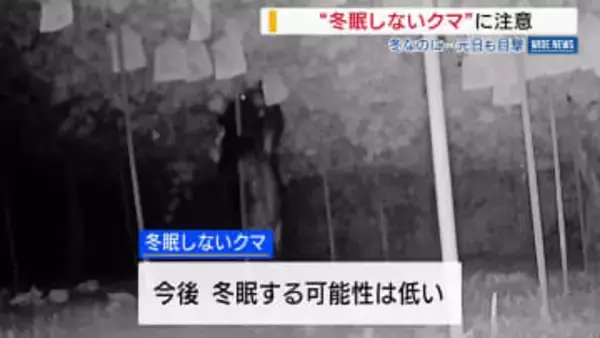 “冬眠しないクマ”に注意 「冬眠に十分な栄養が取れていない」 身延町では元日も目撃 山梨