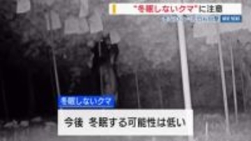 “冬眠しないクマ”に注意 「冬眠に十分な栄養が取れていない」 身延町では元日も目撃 山梨