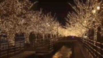 55万球のLEDが冬の夜彩る 石和温泉郷に輝く桜並木 「光の富士山」も 山梨・笛吹市