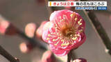 「日中の寒さ和らぐ「立春」“花の寺”ではウメほころぶ 週末は再び強い寒気到来 山梨」の画像1