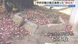 「「命の水」情報求む！甲府空襲の被災者が使用か 児童の質問きっかけに呼びかけ 山梨」の画像1