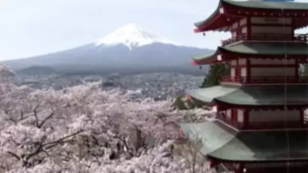 【速報】“桜＋富士山＋五重塔”の絶景 「桜祭り」の開催見送りが決定 オーバーツーリズム対策で 山梨