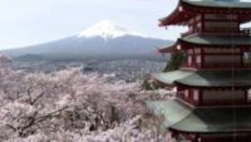 【速報】“桜＋富士山＋五重塔”の絶景 「桜祭り」の開催見送りが決定 オーバーツーリズム対策で 山梨