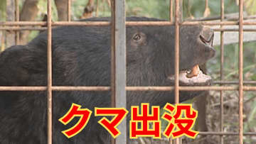 【速報】住宅街の一角 畑でクマのフン見つかる 甲州市塩山三日市場 山梨