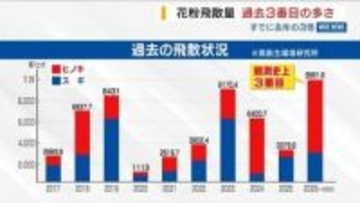 県内の花粉飛散量 すでに去年の3倍で過去3番目の多さ GW明けまで油断は禁物 山梨