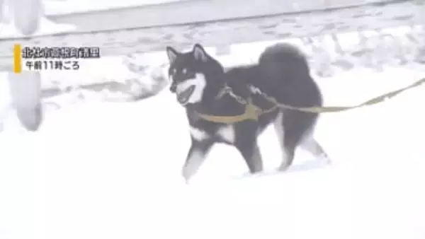 昨年末以来…県内でまとまった降雨 清里では雪 年明けの甲府の降水量はまだ平年の10％ 山梨