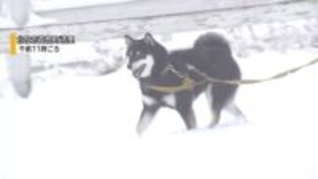 昨年末以来…県内でまとまった降雨 清里では雪 年明けの甲府の降水量はまだ平年の10％ 山梨