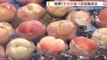 「天国です」モモが30分食べ放題！恒例の大人気イベント始まる 山梨・南アルプス市