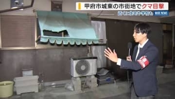 甲府の市街地でクマ目撃「どう対処すれば」不安の声 周辺には住宅や小中学校も 山梨