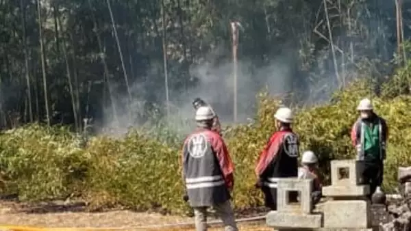 供養のため人形燃やして延焼か 神社の竹林 下草約200㎡焼く火事 山梨