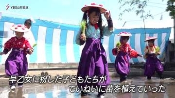 甲府市の住吉神社で恒例の御田植神事