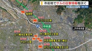 市街地でサル目撃相次ぐ 駅や公園周辺など5日間で7件 徐々に南下か 山梨・甲斐市