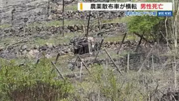 「ブドウ畑で農薬散布車の下敷きに 44歳の男性死亡 ひとりで農作業中に横転か 山梨」の画像