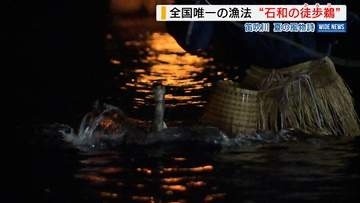 800年の伝統！夏の風物詩「石和鵜飼」全国で唯一の漁法「徒歩鵜」とは？山梨・笛吹市