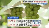 「シャインマスカットが大幅減 昨年度の県産果実の販売総額 猛暑の影響で17億円減 山梨」の画像1