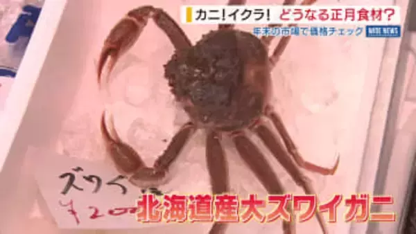 「みんな喜んで買っています」大ズワイガニがお手頃価格  白菜は例年並み 甲府の市場で価格を取材 山梨