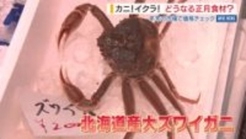 「みんな喜んで買っています」大ズワイガニがお手頃価格  白菜は例年並み 甲府の市場で価格を取材 山梨