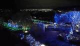 「「キラキラで癒やされる」 甲府盆地の夜景と共演 勝沼ぶどうの丘のイルミネーション 山梨・甲州市」の画像1