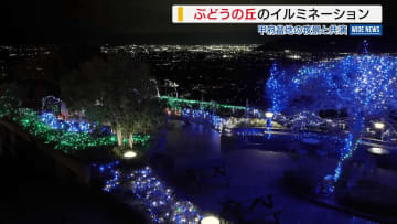 「キラキラで癒やされる」 甲府盆地の夜景と共演 勝沼ぶどうの丘のイルミネーション 山梨・甲州市