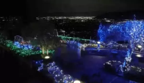 「キラキラで癒やされる」 甲府盆地の夜景と共演 勝沼ぶどうの丘のイルミネーション 山梨・甲州市