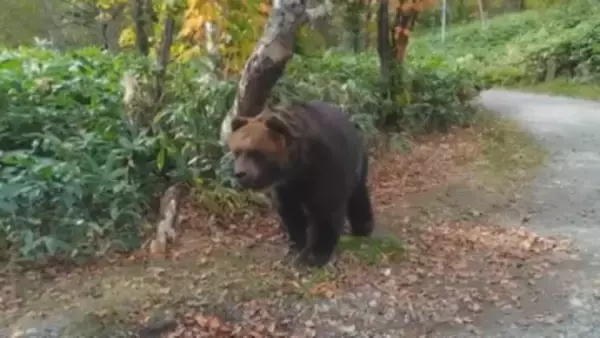 新開発「ポータブルくまドン」 評判のクマよけ装置が“携帯型”に 6月下旬に販売予定 山梨