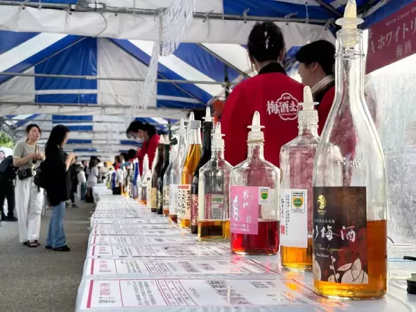 「上野恩賜公園で120種類以上の梅酒を飲み比べ！「全国梅酒まつり in 東京2026」が6月4日～7日に開催」の画像