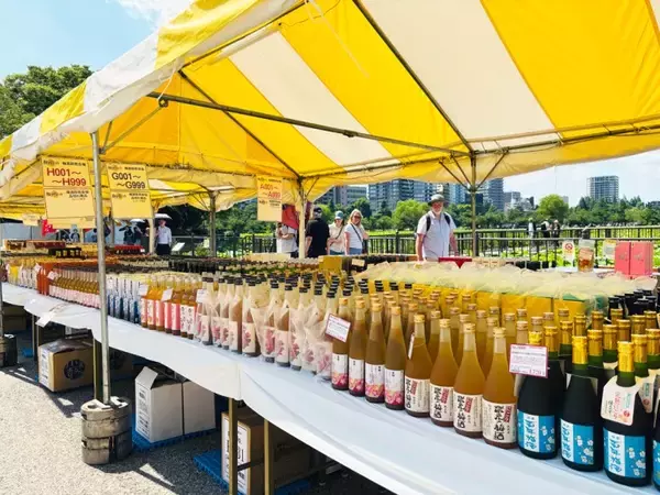 「上野恩賜公園で120種類以上の梅酒を飲み比べ！「全国梅酒まつり in 東京2026」が6月4日～7日に開催」の画像