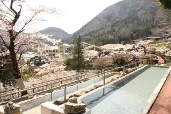 「箱根小涌園ユネッサン、桜テーマの春の訪れを感じるイベント「お花見温泉2026」が開催スタート！」の画像