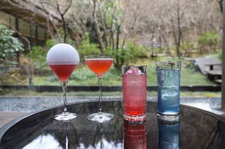 箱根小涌園ユネッサン、桜テーマの春の訪れを感じるイベント「お花見温泉2026」が開催スタート！