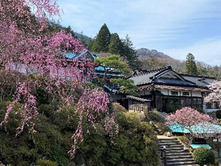 箱根小涌園ユネッサン、桜テーマの春の訪れを感じるイベント「お花見温泉2026」が開催スタート！