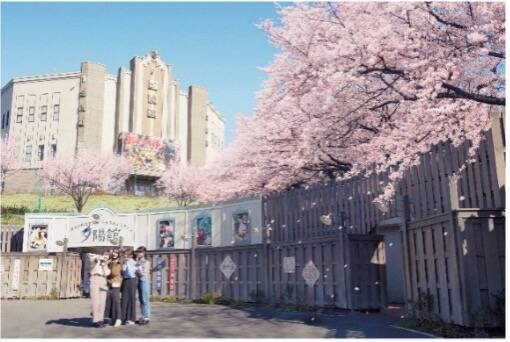 西武園ゆうえんち、500本の桜が咲き誇る！桜吹雪フェスや春イメージの限定メニューが楽しめる「西武園ゆうえんちの春」3月20日より開催！