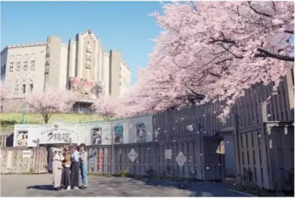 「西武園ゆうえんち、500本の桜が咲き誇る！桜吹雪フェスや春イメージの限定メニューが楽しめる「西武園ゆうえんちの春」3月20日より開催！」の画像